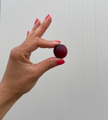 Baby Plum, la ciruela mini que amplía la gama de berries